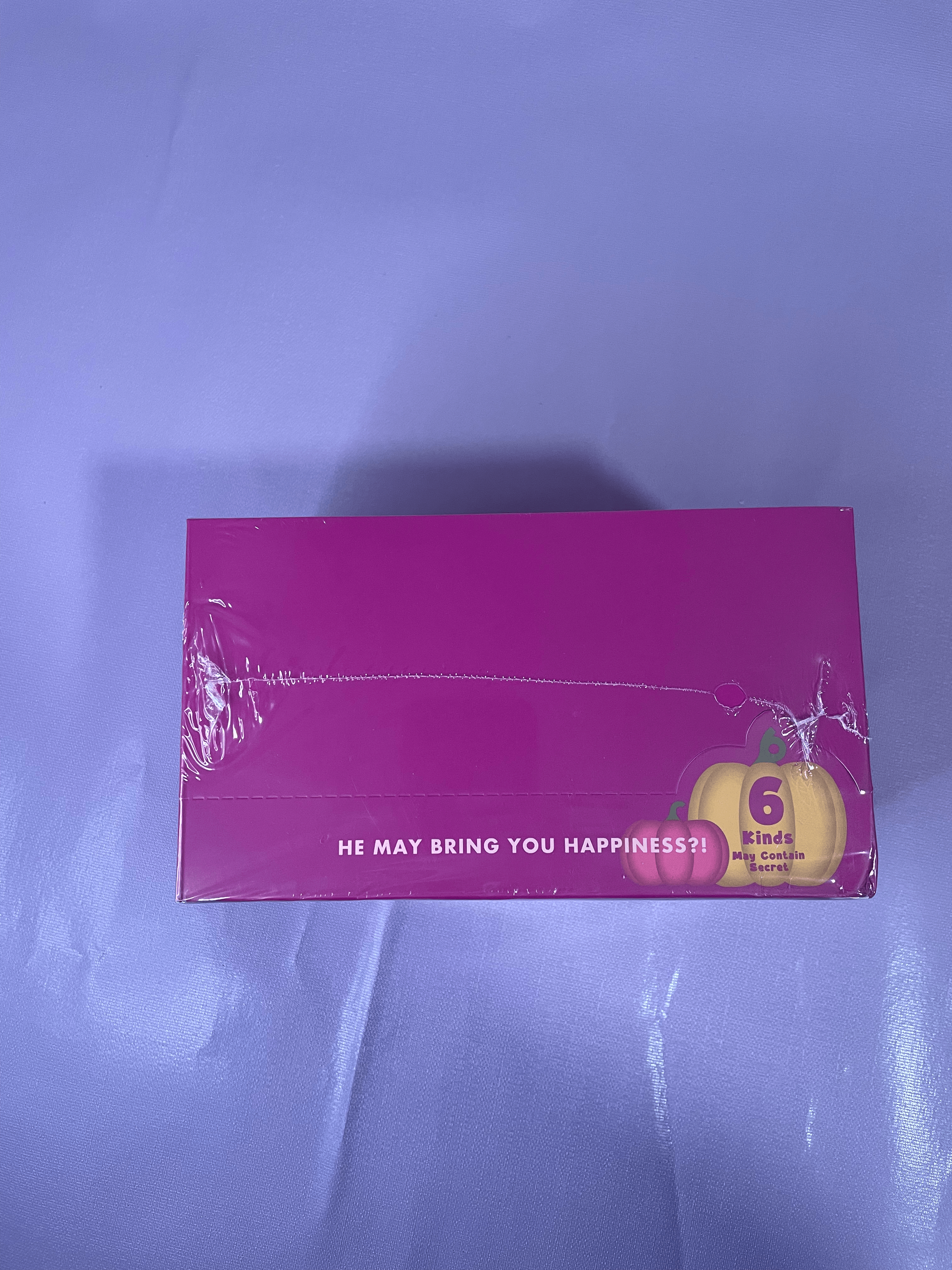 Sonny Angel Pumpkin Patch Series Sealed Case 2