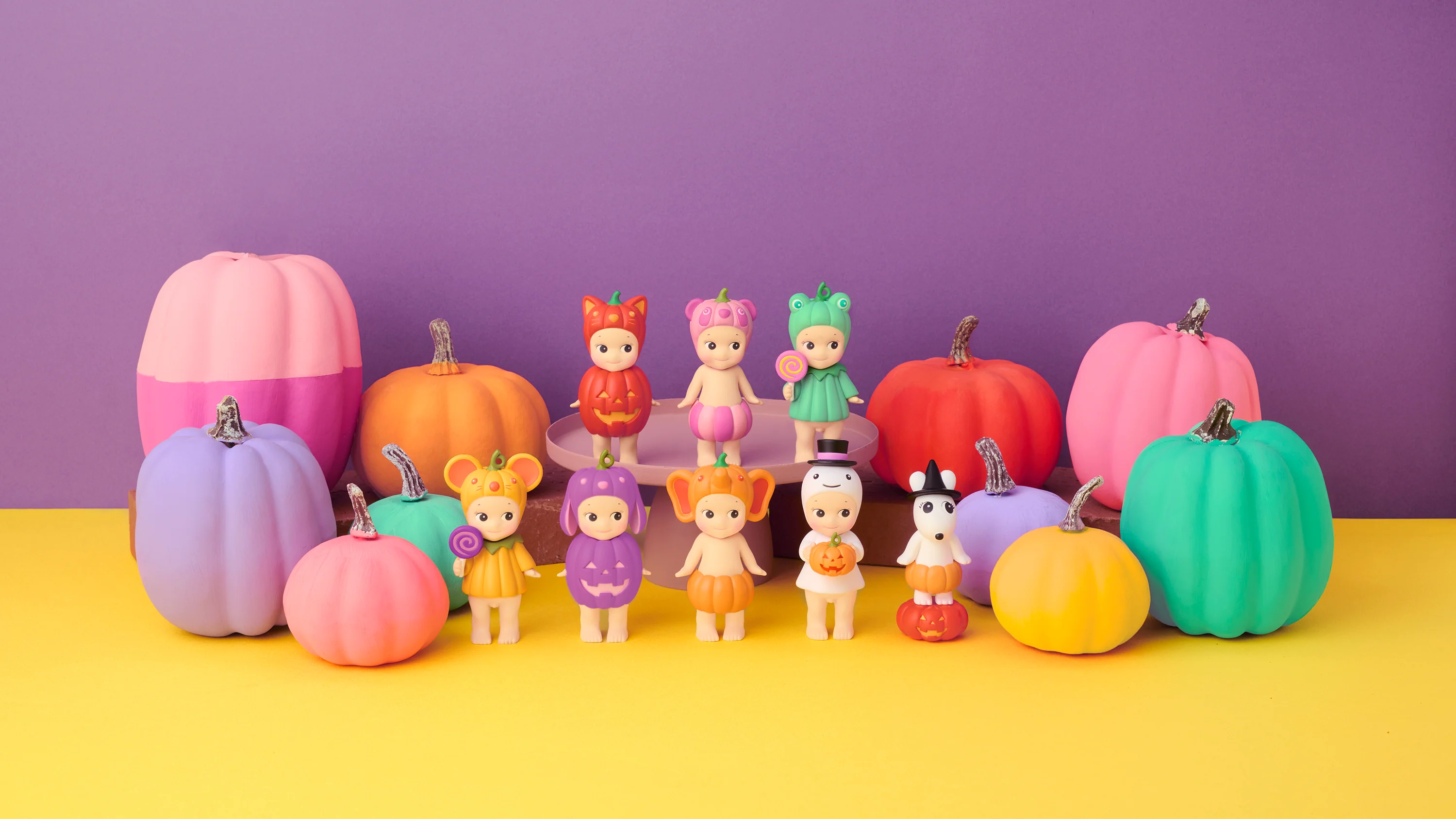 The Ultimate Guide to Displaying Your Collection